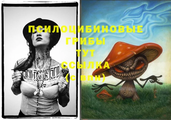 стафф Гусиноозёрск