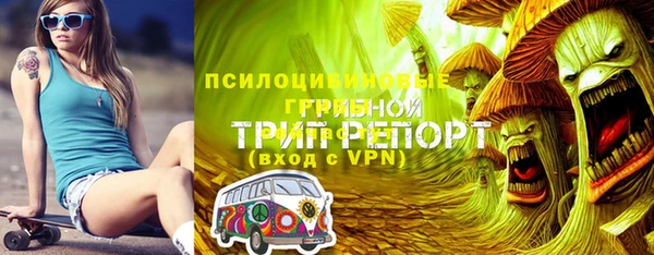 MESCALINE Гусь-Хрустальный