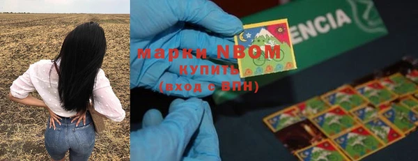 стафф Гусиноозёрск