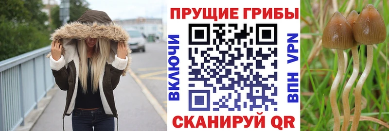 Галлюциногенные грибы мицелий Шагонар