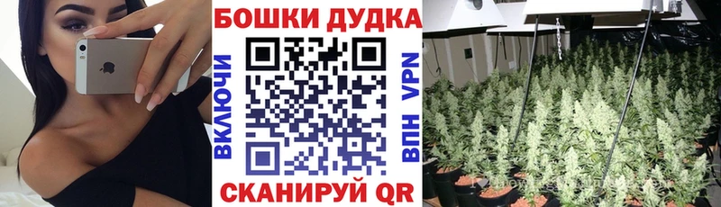 Шишки марихуана сатива  наркота  Шагонар 